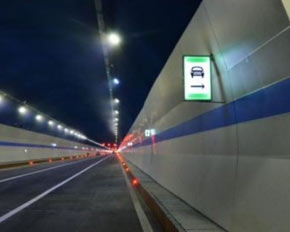 91视频网在线观看