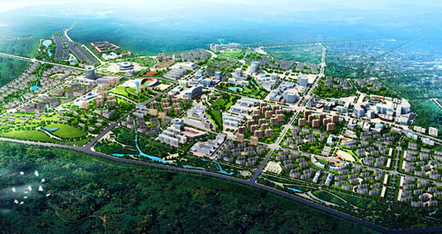 91视频网在线观看 91视频网在线观看