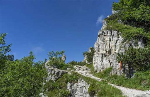 91视频网在线观看 91视频网在线观看