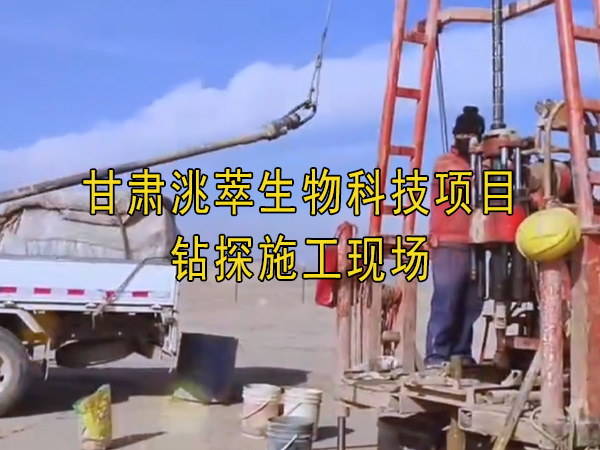 91视频免费观看网站